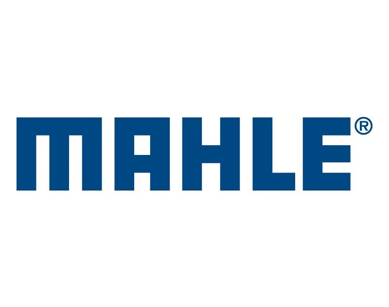 Mahle Ya� Filtresi
